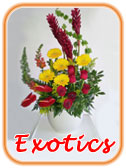 Exotics